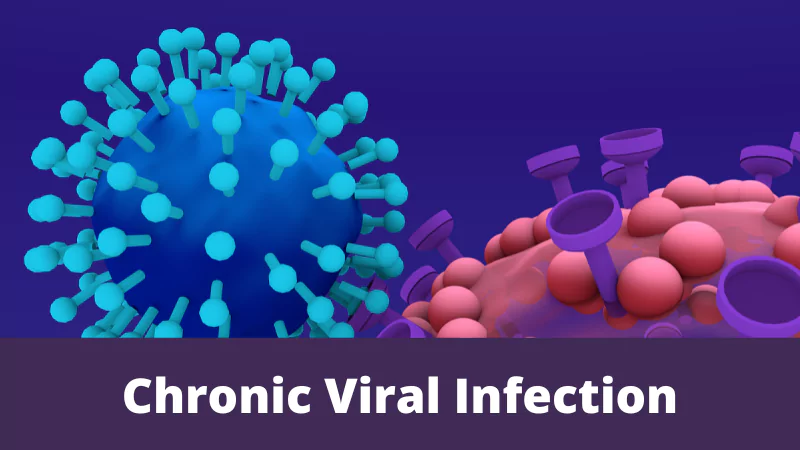 chronic viral infection